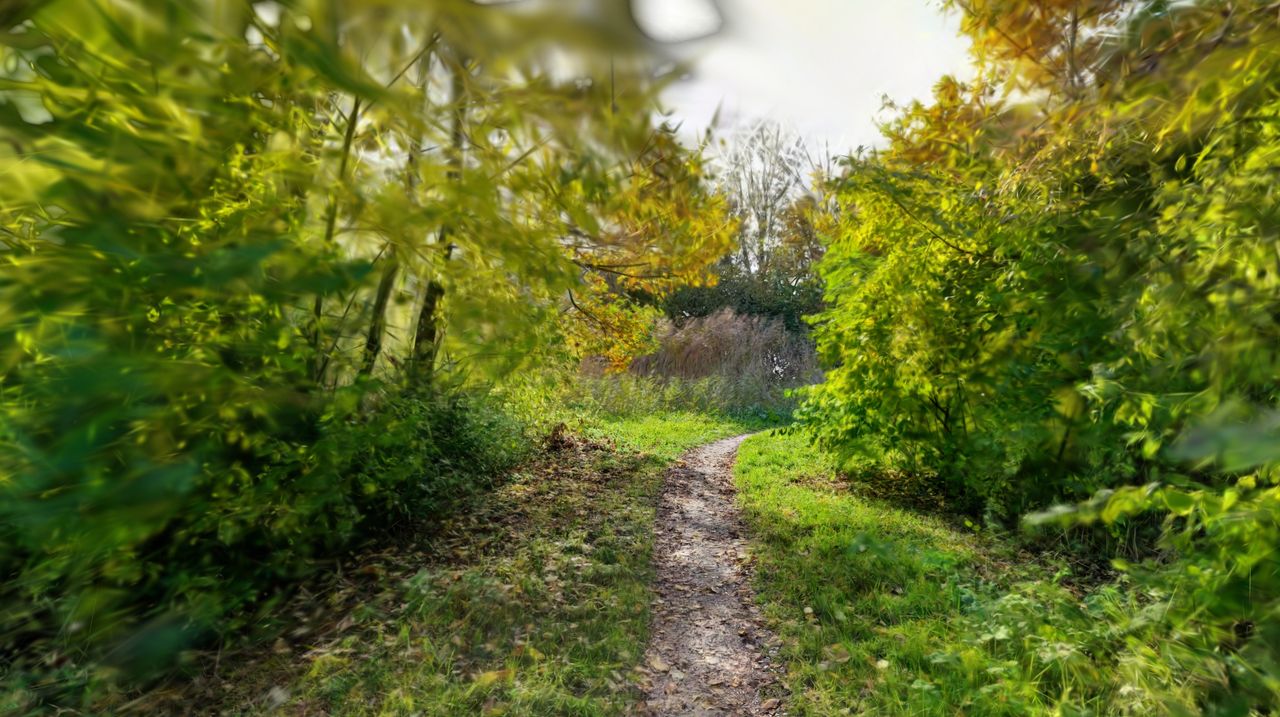 Gaussian Splatting: Makkelijker dan je denkt