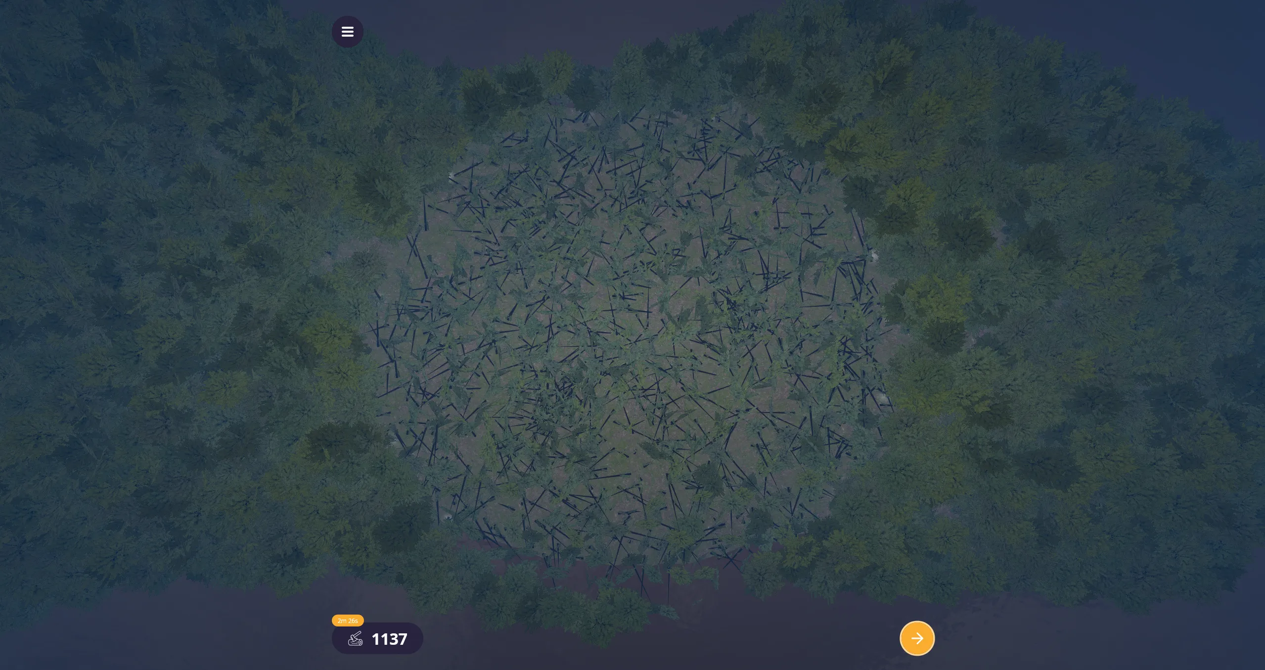 Amazon Deforestation